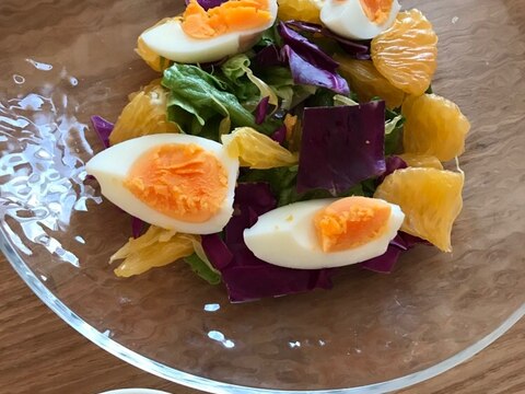 茹で卵と紫キャベツのサラダ